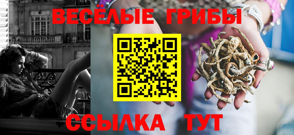 Краснодар  Псилоцибиновые грибы Psilocybe  Вход с VPN 